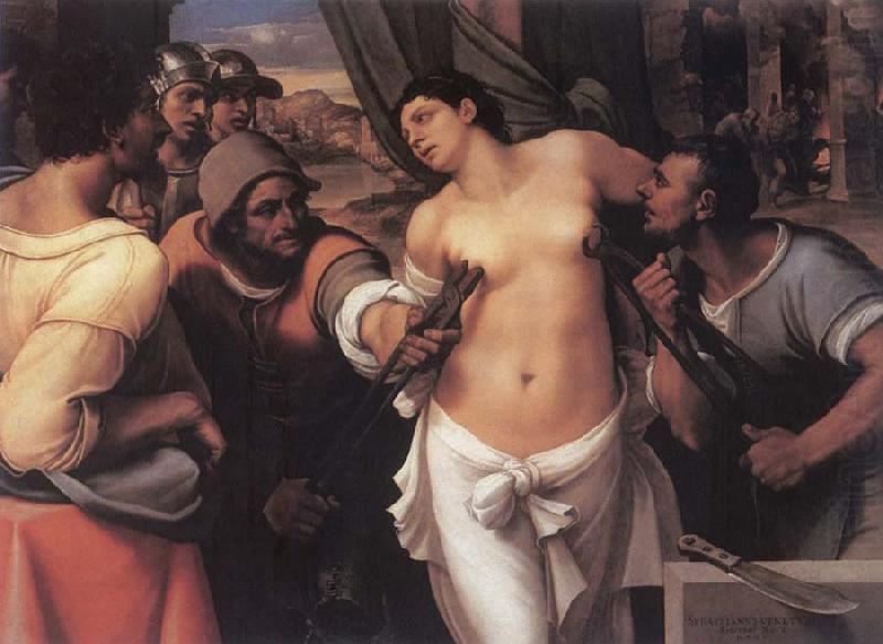 Sebastiano del Piombo The Martydom of St.Agatha china oil painting image